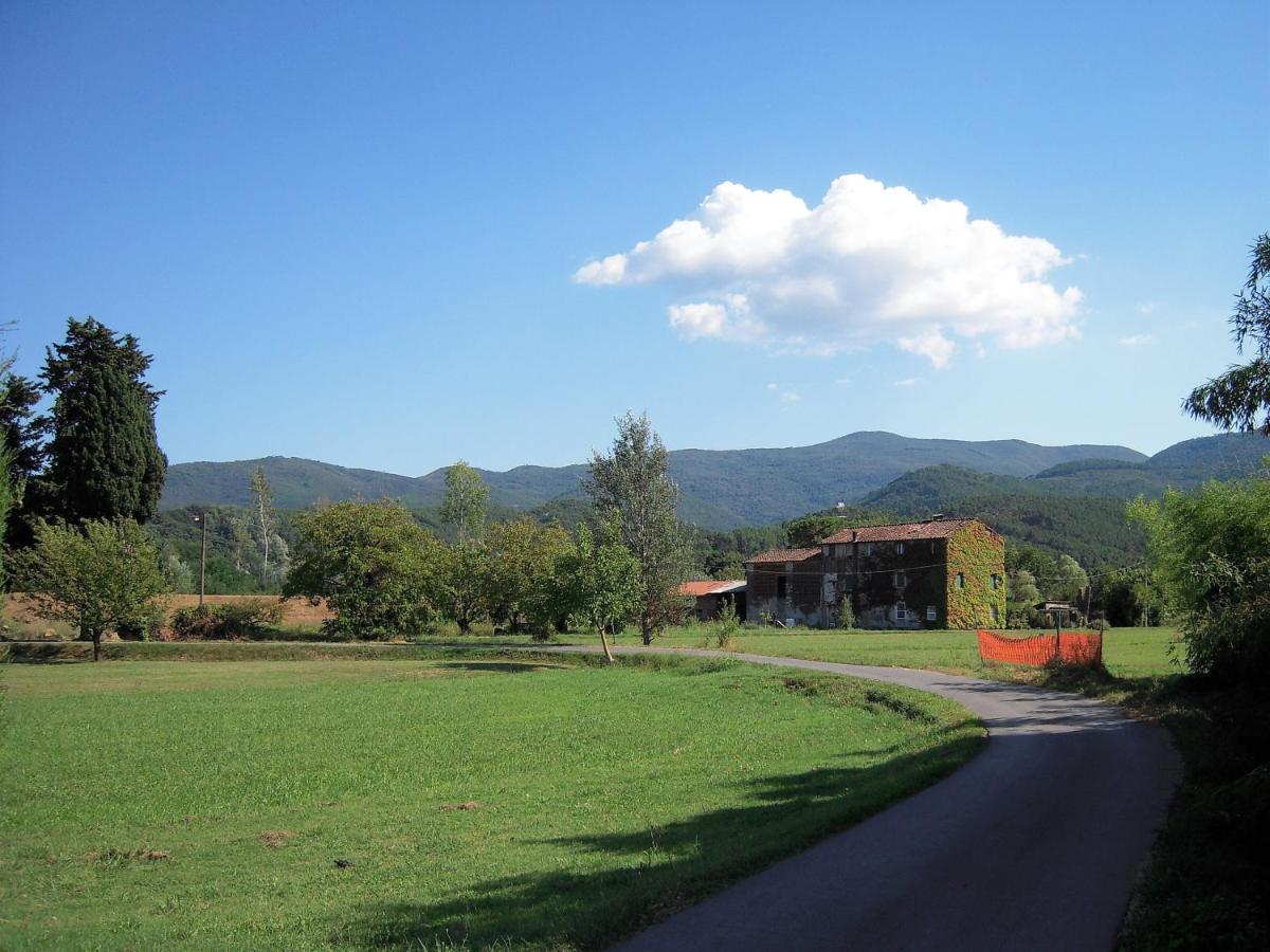 Villa Al Cascinale à Lucques Extérieur photo
