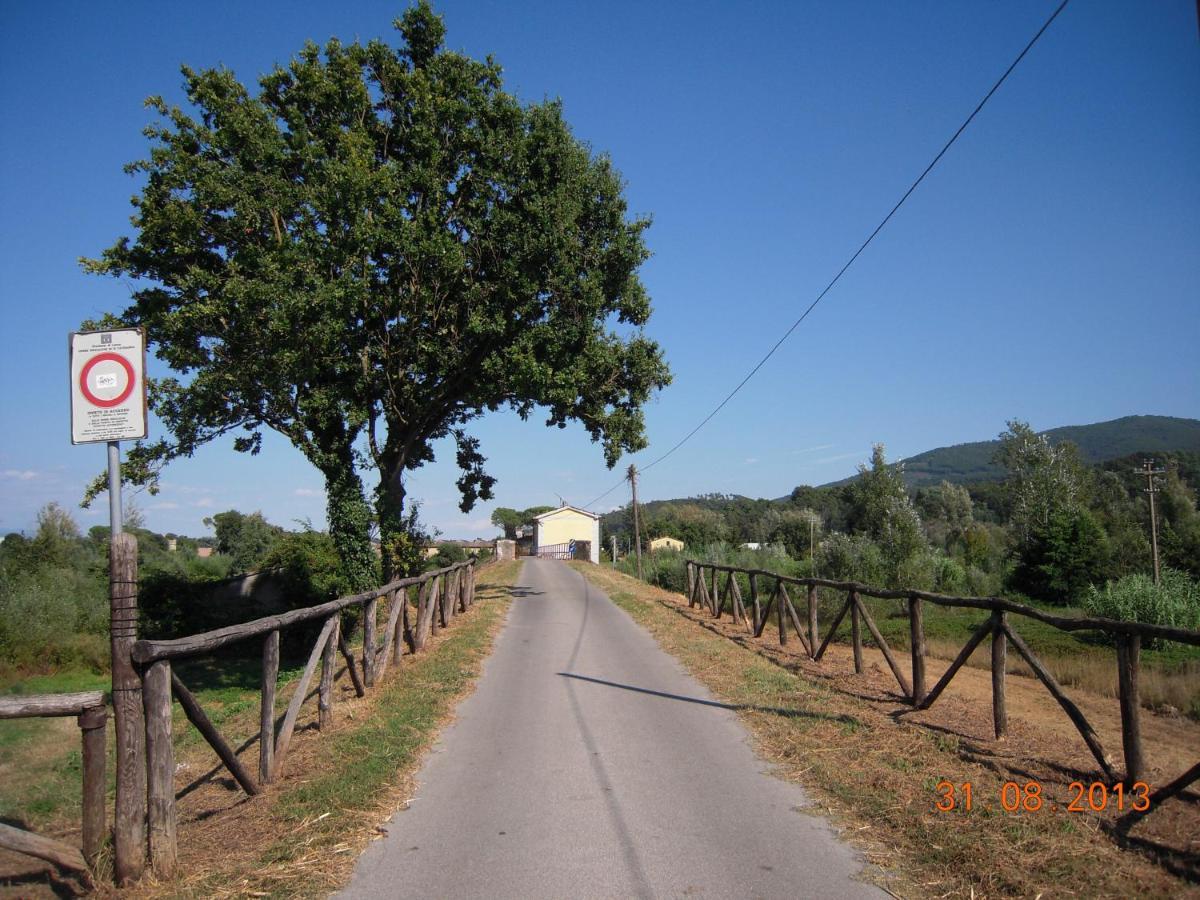 Villa Al Cascinale à Lucques Extérieur photo